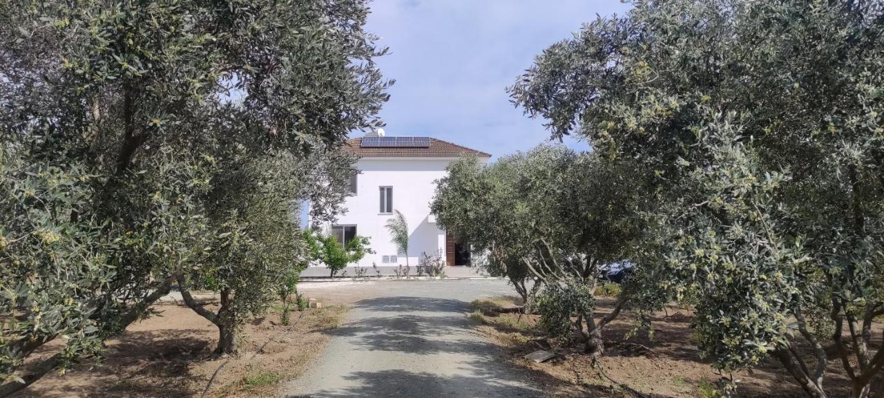 Village Villa, Cyprus, Salt-water Pool, 6 Bedrooms, Larnaca Willa